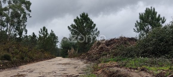  Land in Caxarias, Portugal No. 148838 10