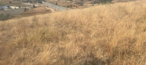 Terreno en El Molar, Spain 11237 m² No. 80201 3