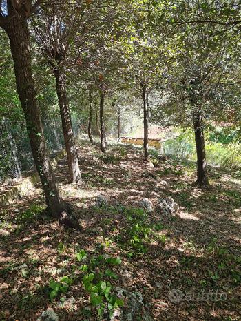 3 rooms Villa in Palombara Sabina, Italy No. 307686