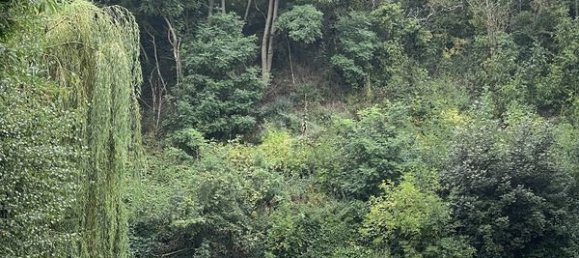 4 bedrooms Duplex in Noeux-les-Mines, France No. 256479 9