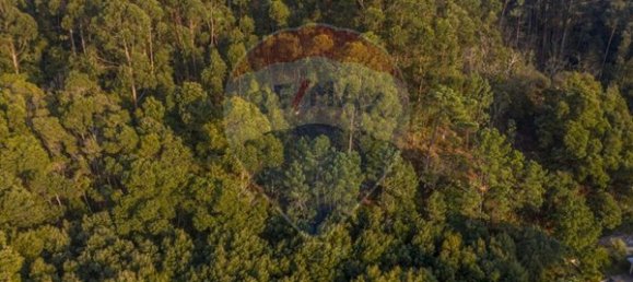 Земельный участок 2000м² в Каминья, Португалия № 57146 8