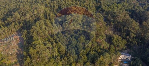 Земельный участок 2000м² в Каминья, Португалия № 57146 7