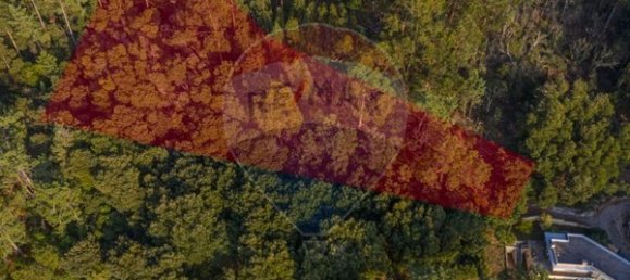 Земельный участок 2000м² в Каминья, Португалия № 57146 4