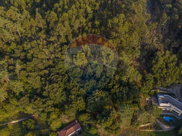 Земельный участок 2000м² в Каминья, Португалия № 57146