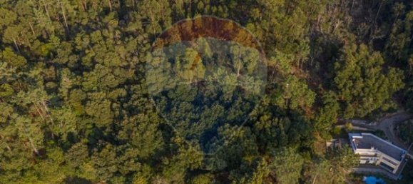 Земельный участок 2000м² в Каминья, Португалия № 57146 3