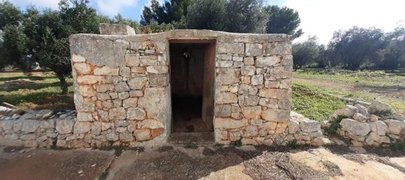 3-Zimmer Haus in Carovigno, Italy, Nr. 136659 38