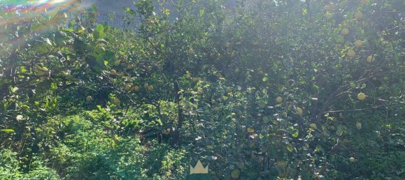 850m² Land in Partinico, Italy No. 62436 15