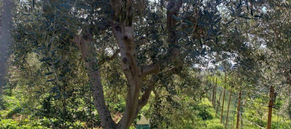 850m² Land in Partinico, Italy No. 62436 6