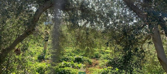 850m² Land in Partinico, Italy No. 62436 5