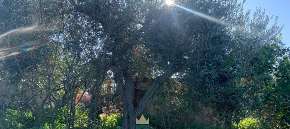 850m² Land in Partinico, Italy No. 62436 16