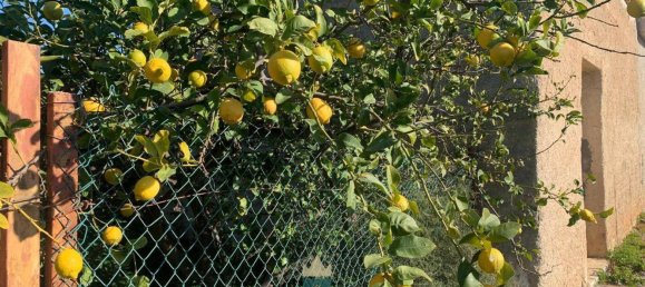 850m² Land in Partinico, Italy No. 62436 12