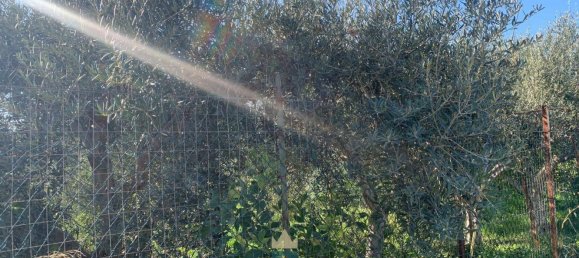 850m² Land in Partinico, Italy No. 62436 3