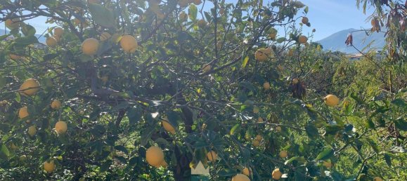 850m² Land in Partinico, Italy No. 62436 10