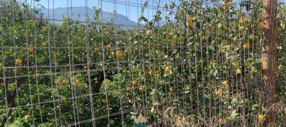 850m² Land in Partinico, Italy No. 62436 2