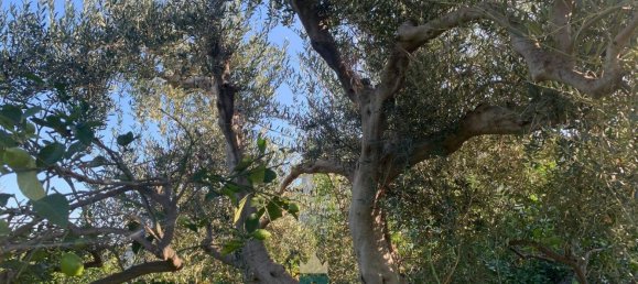 850m² Land in Partinico, Italy No. 62436 7