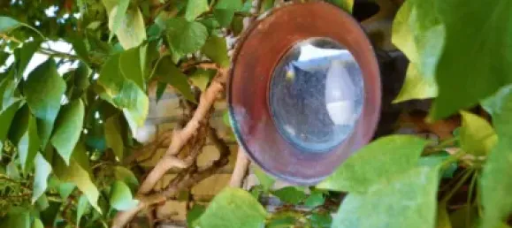 6 bedrooms House in Padul, Spain No. 106785 49