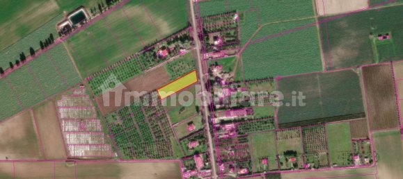 Grundstück in Foggia, Italy 4567m², Nr. 72877 2