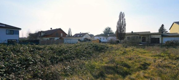 Land in Tulln an der Donau, Austria No. 226668 2