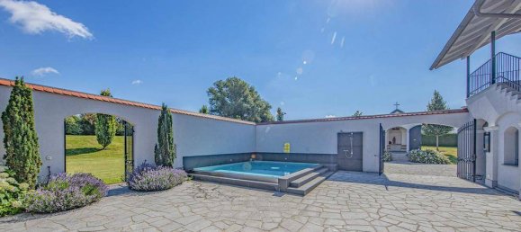 5 chambres Villa à Leonding, Austria No. 208529 2