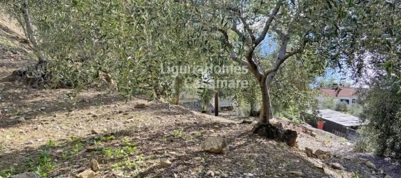 Земельный участок с 1 комнатой в Чипресса, Италия № 163879 6