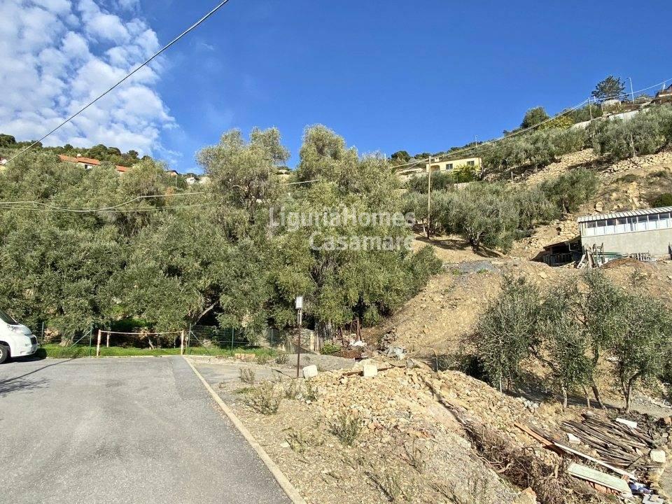 Земельный участок с 1 комнатой в Чипресса, Италия № 163879