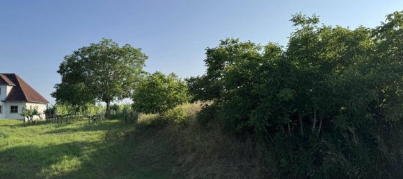 576m² Land in Fels am Wagram, Austria No. 141958 7