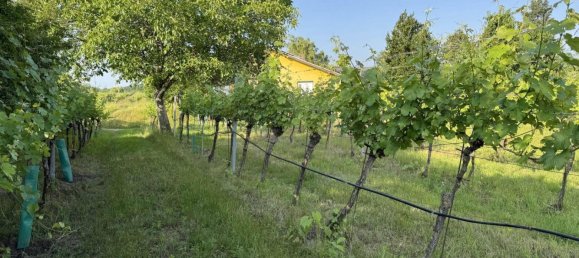 576m² Land in Fels am Wagram, Austria No. 141958 6