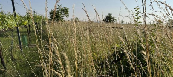 576m² Land in Fels am Wagram, Austria No. 141958 5