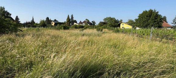 576m² Land in Fels am Wagram, Austria No. 141958 2