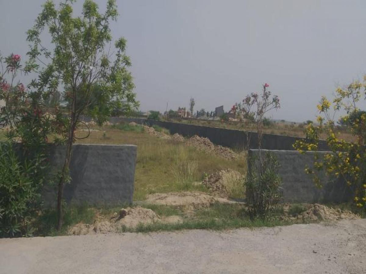  Land in Noida, India No. 65880