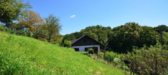5-salle Maison à Neuhaus am Klausenbach, Austria No. 236252 13
