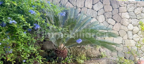 2 Schlafzimmer Villa in Forio, Italy, Nr. 307902 31