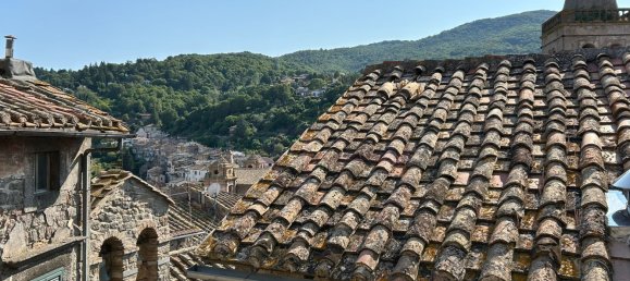 Дуплекс с 4 комнатами в Сориано нель Чимино, Италия № 298216 15