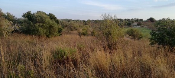 Terreno en Pachino, Italy 6810 m² No. 68354 3