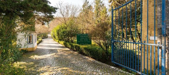 12 bedrooms Land in Sintra, Portugal No. 109191 45