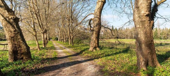 12 bedrooms Land in Sintra, Portugal No. 109191 47