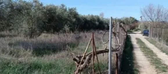 Земельный участок 3124м² в Гранада, Испания № 138899 7