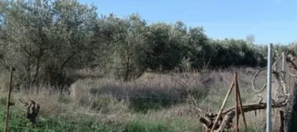 Земельный участок 3124м² в Гранада, Испания № 138899 9