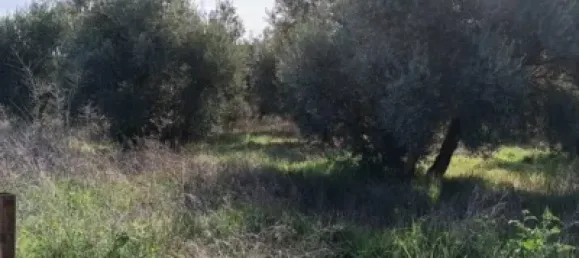 Земельный участок 3124м² в Гранада, Испания № 138899 2