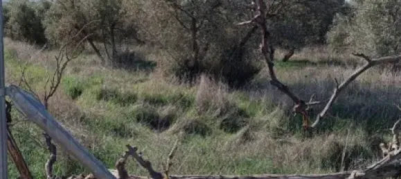 Земельный участок 3124м² в Гранада, Испания № 138899 6