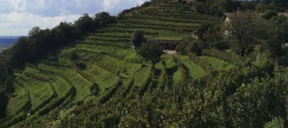 Apartamento de 3 habitaciónes en Cologne, Italy No. 6035 61