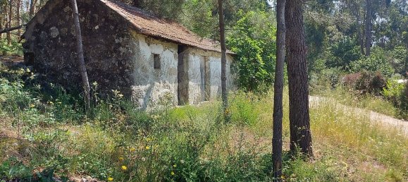 1 Schlafzimmer Haus in Lousada, Portugal, Nr. 16357 4