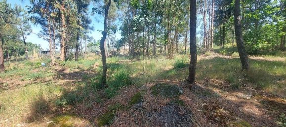 1 Schlafzimmer Haus in Lousada, Portugal, Nr. 16357 2