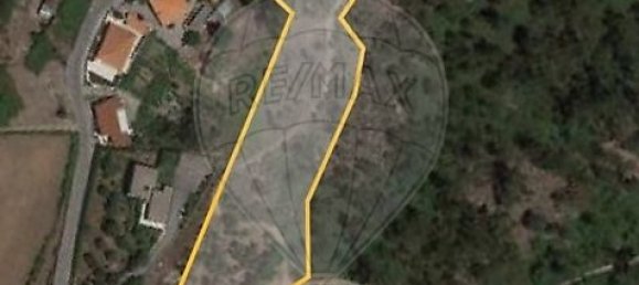 1 Schlafzimmer Haus in Lousada, Portugal, Nr. 16357 9