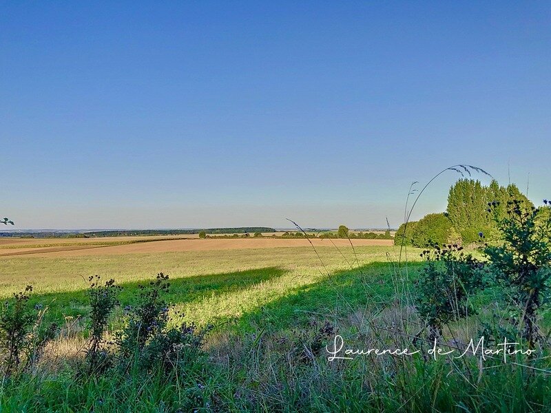  Land in Montjavoult, France No. 231796