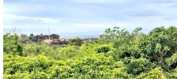 33560m² Land in San Pietro Clarenza, Italy No. 324808 5