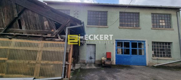 4 غرف نوم منزل في Niederhaslach, France رقم 91121 8