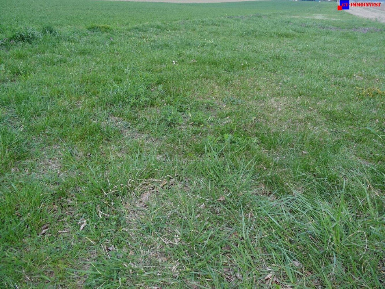  Land in Hirm, Austria No. 166475