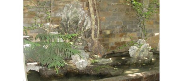 5 bedrooms Villa in Tay Ho, Vietnam No. 6281 5