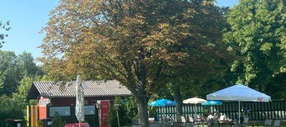 3 rooms Apartment in Biedermannsdorf, Austria No. 221941 16